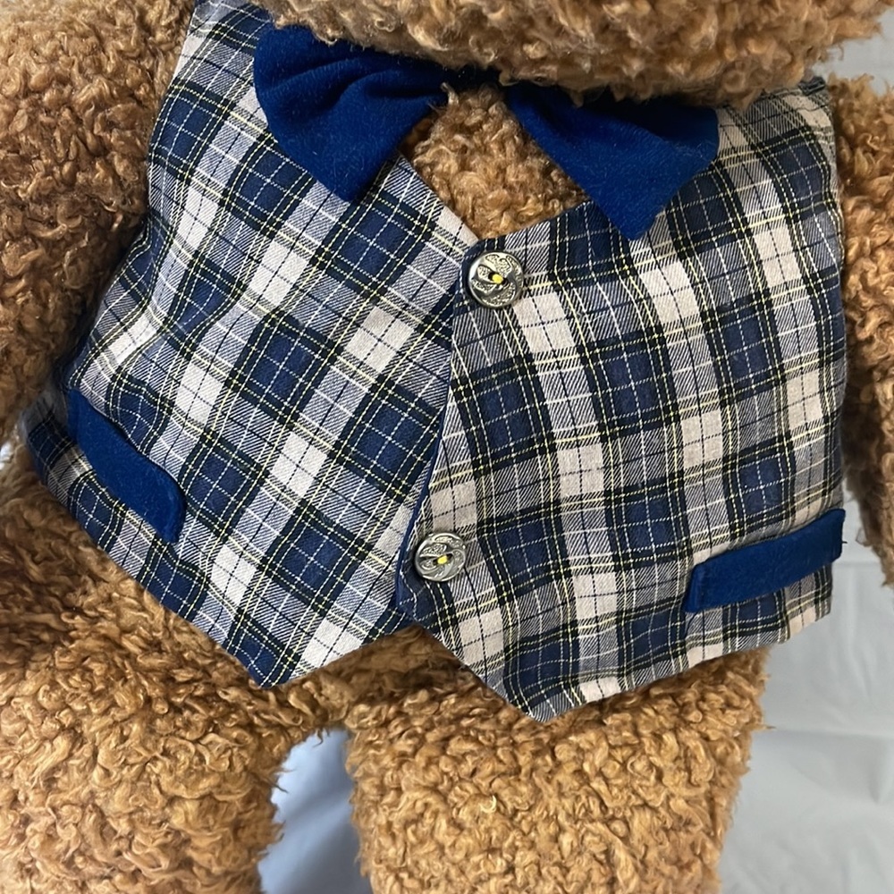 Vintage JCPenny plush bear - Picture 4 of 8